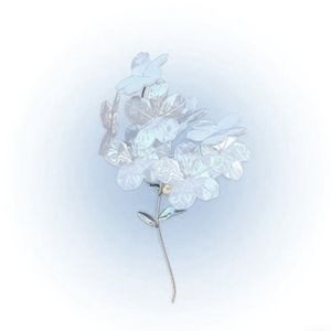 Meet your Posher, Kira